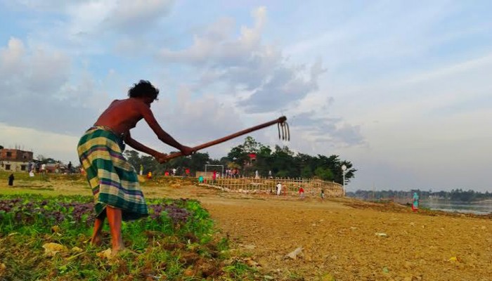 ​চনপাড়ায় নদীর চরে স্বপ্ন বুনছেন শরফত