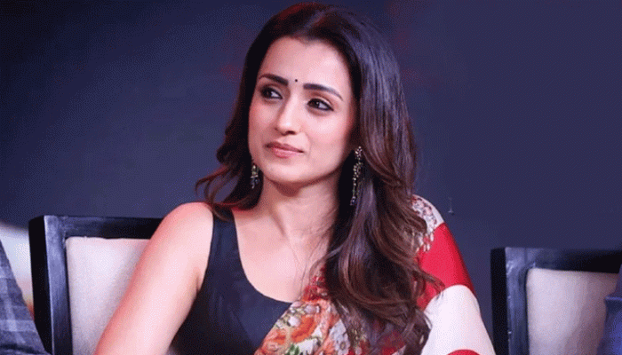 মুখ্যমন্ত্রীর সঙ্গে প্রেমের গুঞ্জনের মাঝে তৃষাকে লোভনীয় প্রস্তাব