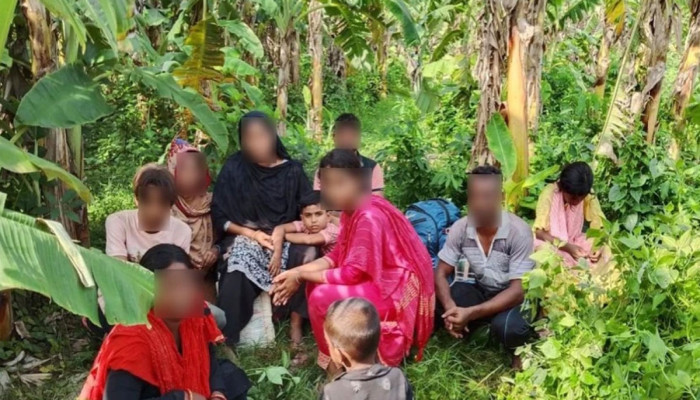দর্শনা সীমান্তে অনুপ্রবেশের অভিযোগে নারী-শিশুসহ আটক ১০