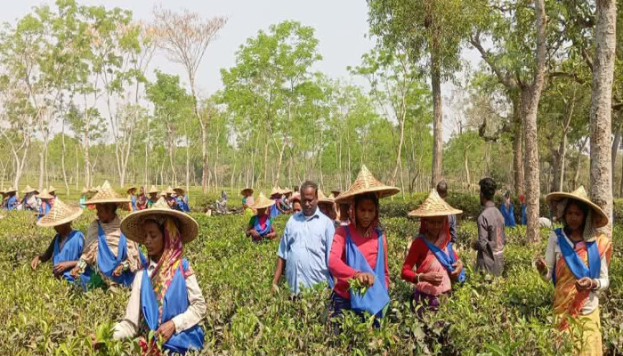 ​বাজেট বুঝি না, শুধু দুবেলা খাবার চাই’