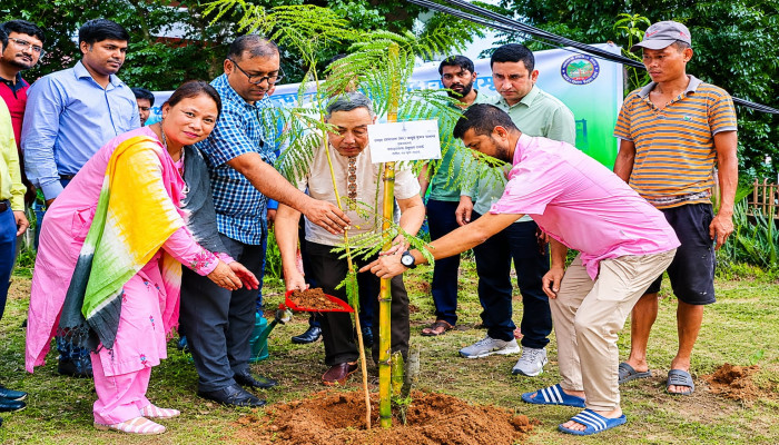 ​প্রধানমন্ত্রীর বৃক্ষরোপণ কর্মসূচির সঙ্গে সামঞ্জস্য রেখে পার্বত্য চট্টগ্রাম উন্নয়ন বোর্ডের বৃক্ষরোপণ কর্মসূচি পালন
