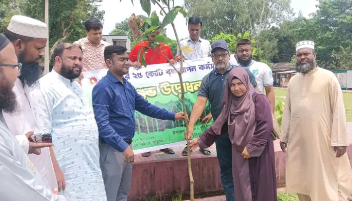 ​উলিপুরে বৃক্ষরোপণ কর্মসূচির উদ্বোধন