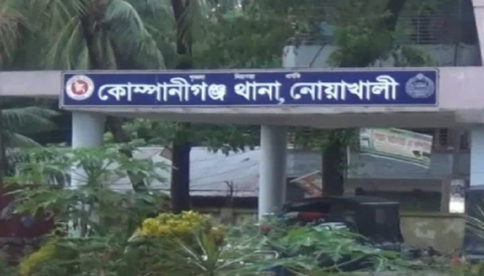 ​নোয়াখালীতে টিন কেটে ঘরে ঢুকে গৃহবধূকে ধর্ষণ, আটক ১