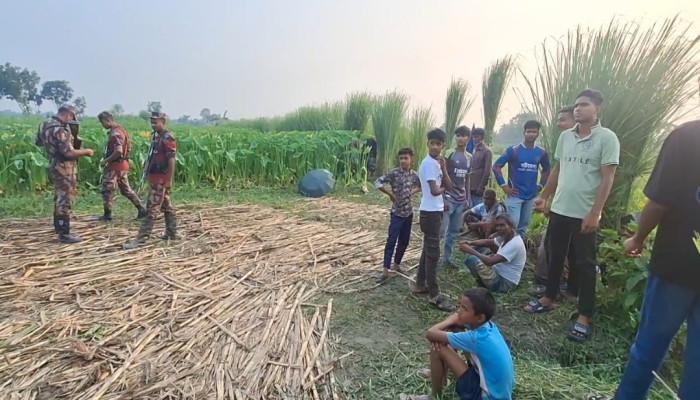 পুশইনের চেষ্টা, বিজিবির টহল জোড়দার