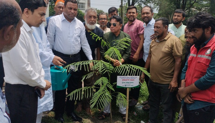 ​নোয়াখালী জেলা পরিষদের উদ্যোগে বৃক্ষরোপণ কর্মসূচির উদ্বোধন