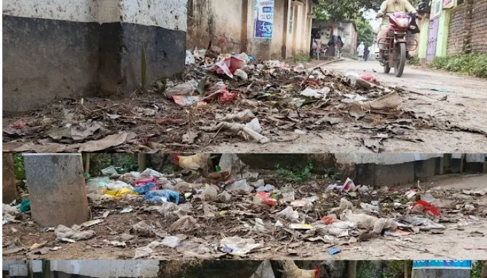 ​পীরগঞ্জ পৌরসভায় ময়লার স্তূপে জনদুর্ভোগ চরমে পৌর প্রশাসকের হস্তক্ষেপ কামনা
