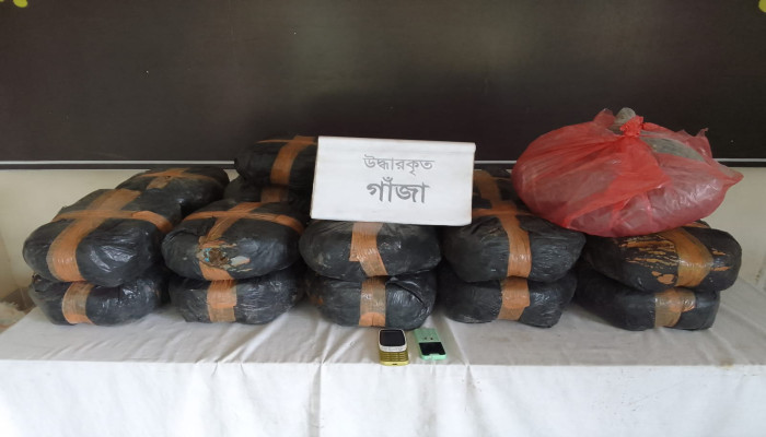 শ্রীপুরে ৭ লাখ টাকা মূল্যের ৪৬ কেজি গাঁজাসহ দুই মাদক ব্যবসায়ী গ্রেফতার