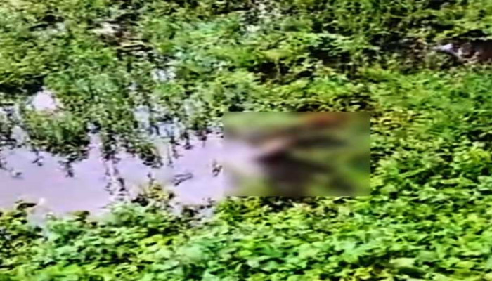 ​নোয়াখালীতে যুবকের লাশ উদ্ধার