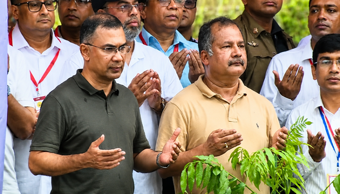 ​সারা দেশে ২৫ কোটি গাছ রোপণ করা হবে : প্রধানমন্ত্রী