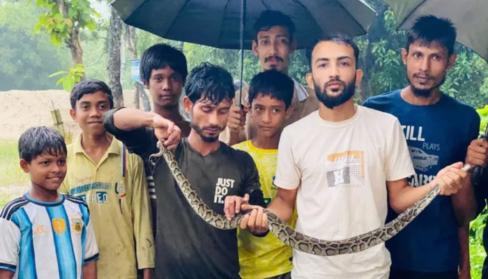 ​চট্টগ্রামে বন্যার পানিতে ঘরে ঘরে সাপ, বাড়ছে ঝুঁকি