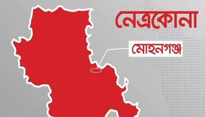 নেত্রকোনায় সড়ক দুর্ঘটনায় একজনের মৃত্যু, আহত ৬