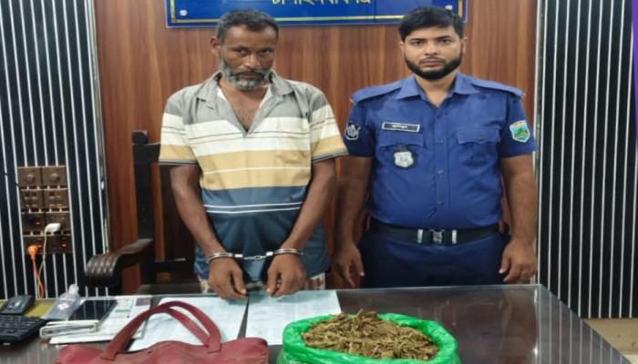 ​চাঁপাইনবাবগঞ্জ সদর মডেল থানা পুলিশের অভিযানে গাঁজাসহ আটক ১