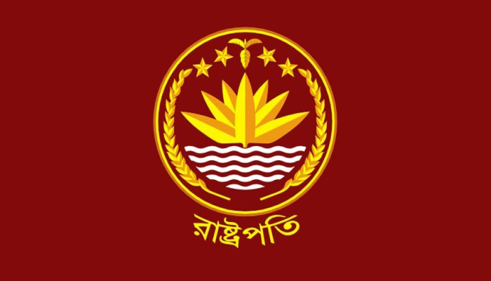 এবার আর ‘ভুল’ নয়, যেসব বিষয়ে প্রাধান্য দিয়ে রাষ্ট্রপতি বানাবে বিএনপি