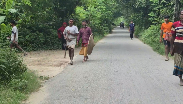 ​ঝিনাইদহে আধিপত্য বিস্তার নিয়ে দু'পক্ষের সংঘর্ষে ১০ জন আহত