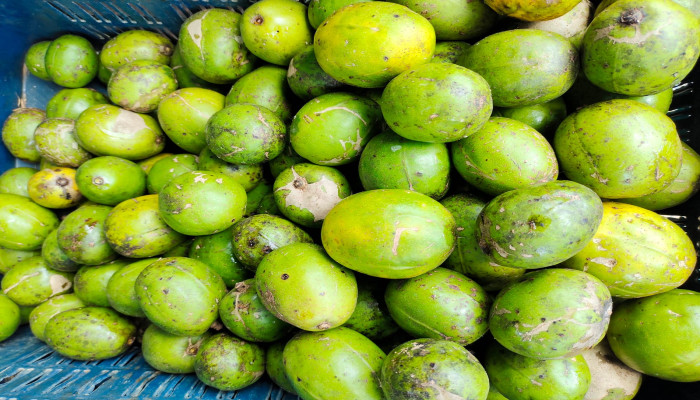 রাঙ্গামাটির পাহাড়ে আমড়ার সুবাস: অর্থনীতি ও ঐতিহ্যের ফল
