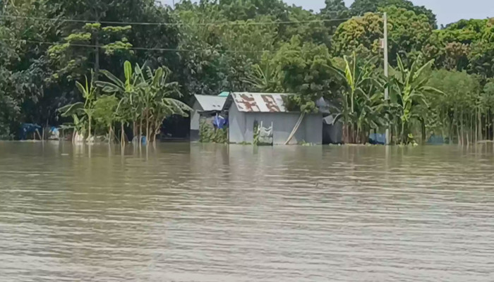 চাঁপাইনবাবগঞ্জে দ্রুত বাড়ছে ৩ নদীর পানি, পানিবন্দী ২৯০০ পরিবার