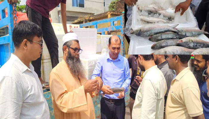 দেশের বাজারে ভারতীয় ও মিয়ানমারের ইলিশ: ২৫২ টাকায় কিনে পদ্মার বলে ১৮০০ টাকায় বিক্রি