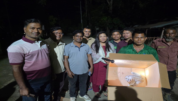 ​খাগড়াছড়ির লক্ষ্মীছড়িতে লজ্জাবতী বানর উদ্ধার