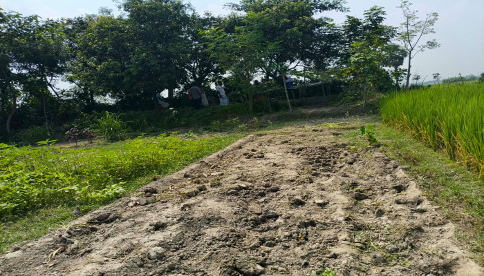 ​সাপাহারে কৃষকের সবজি ক্ষেত কেটে দিল দুর্বৃত্তরা