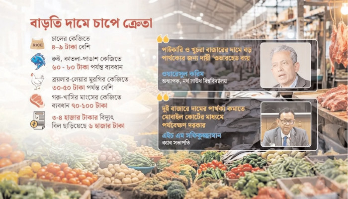 পাইকারি থেকে খুচরায় বড় ব্যবধান, ভোক্তার ব্যয় বাড়ার পেছনে দায় কার?