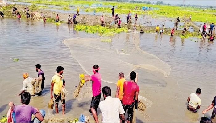 শীতের আগে বুড়ির বাঁধে মাছ ধরার উৎসব