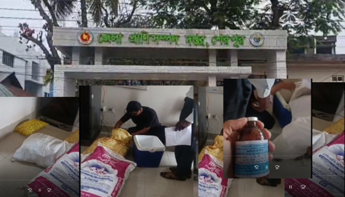 শেরপুরে অরক্ষিত লাখ লাখ ভ্যাকসিন, সংবাদ না প্রকাশ করতে সাংবাদিককে জেলা কর্মকর্তার হুমকি