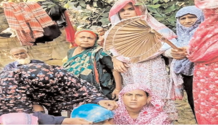 শালিখায় পারিবারিক বিরোধে ভাইকে হত্যার অভিযোগ